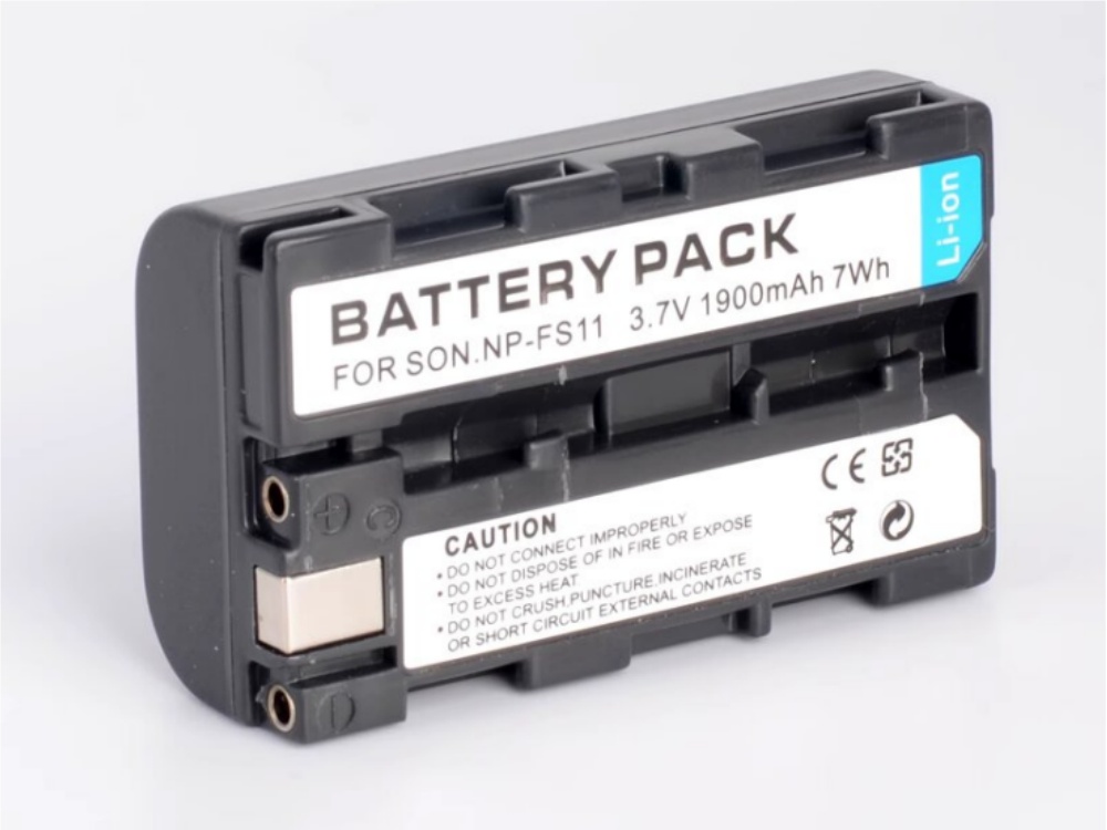 NP-FS11